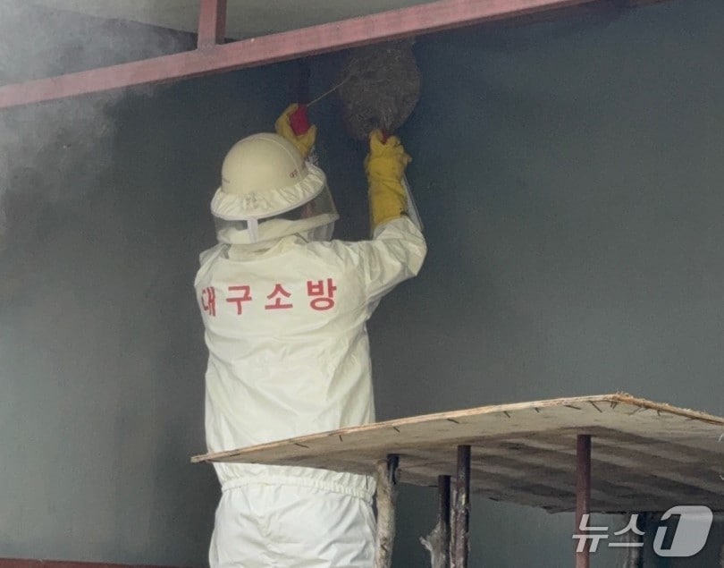 벌집을 제거하는 소방 대원. (대구소방본부 제공. 재판매 및 DB 금지)/뉴스1