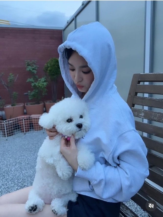 송혜교 인스타그램