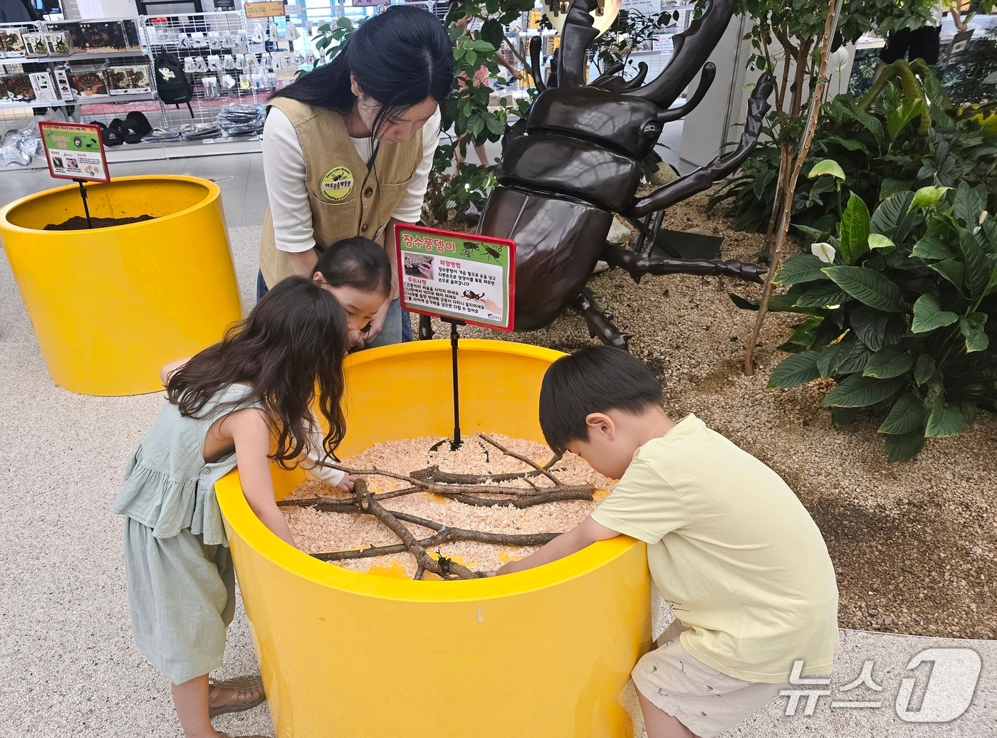 롯데몰 동부산점 여주곤충박물관 팝업 스토어를 방문한 어린이들이 곤충을 관찰하고 있다.(롯데몰 동부산점 제공. 재판매 및 DB 금지)