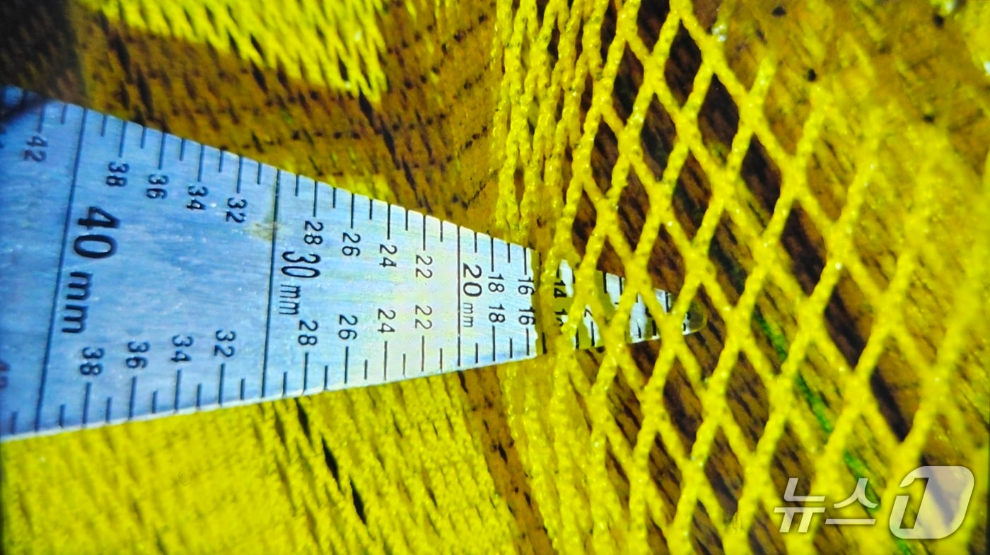 전북 군산에서 허가받지 않은 모기장 그물이라 불리는 '세목망(그물코 16㎜)' 그물을 사용해 조업을 한 멸치잡이 어선이 해경에 적발됐다.(군산해경 제공. 재판매 및 DB금지)