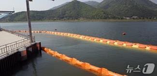 낙동강 물금매리 지점, 조류 차단막 설치 모습.&#40;부산시 제공. 재판매 및 DB금지&#41;