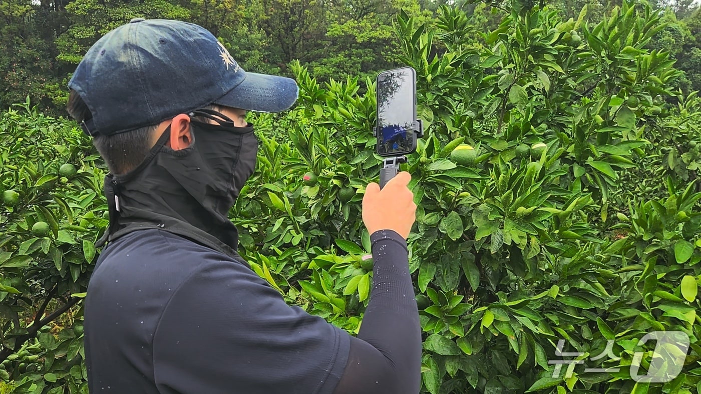  3D 모델링 조사(제주도 제공.재판매 및 DB금지)/뉴스1