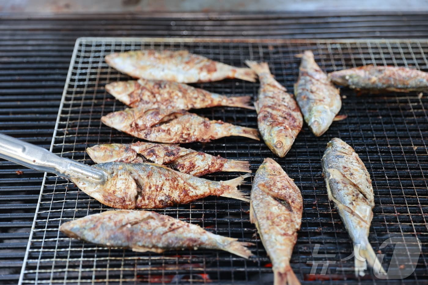 22일 열린 전남 보성전어축제에서 참가자들이 잡은 전어를 현장에서 직접 구워주고 있다.(보성군 제공. 재배포 및 DB 금지) 2025.8.24 ⓒ 뉴스1