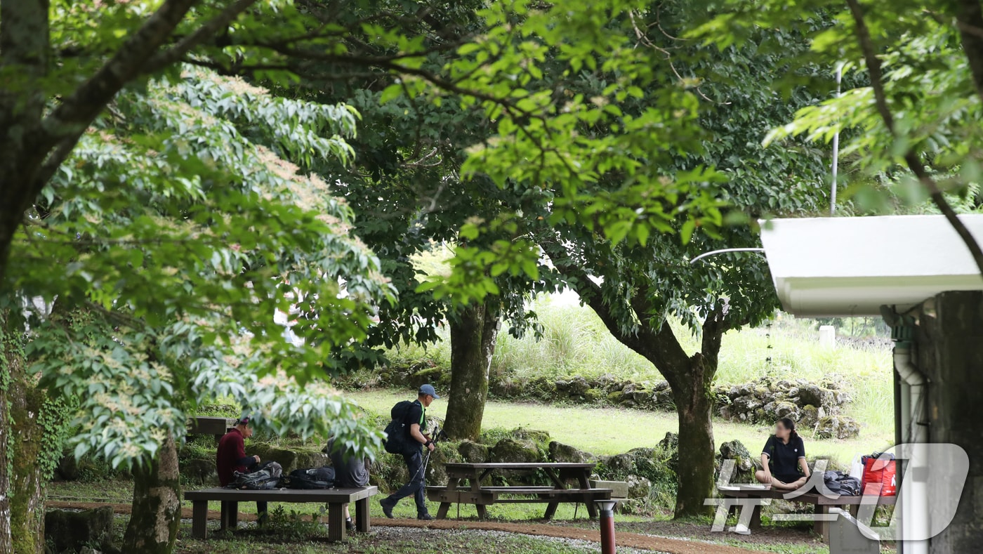제주 한라산국립공원 관음사 야영장에서 도민과 관광객들이 여유를 즐기고 있다. 2025.8.24/뉴스1 ⓒ News1 오현지 기자