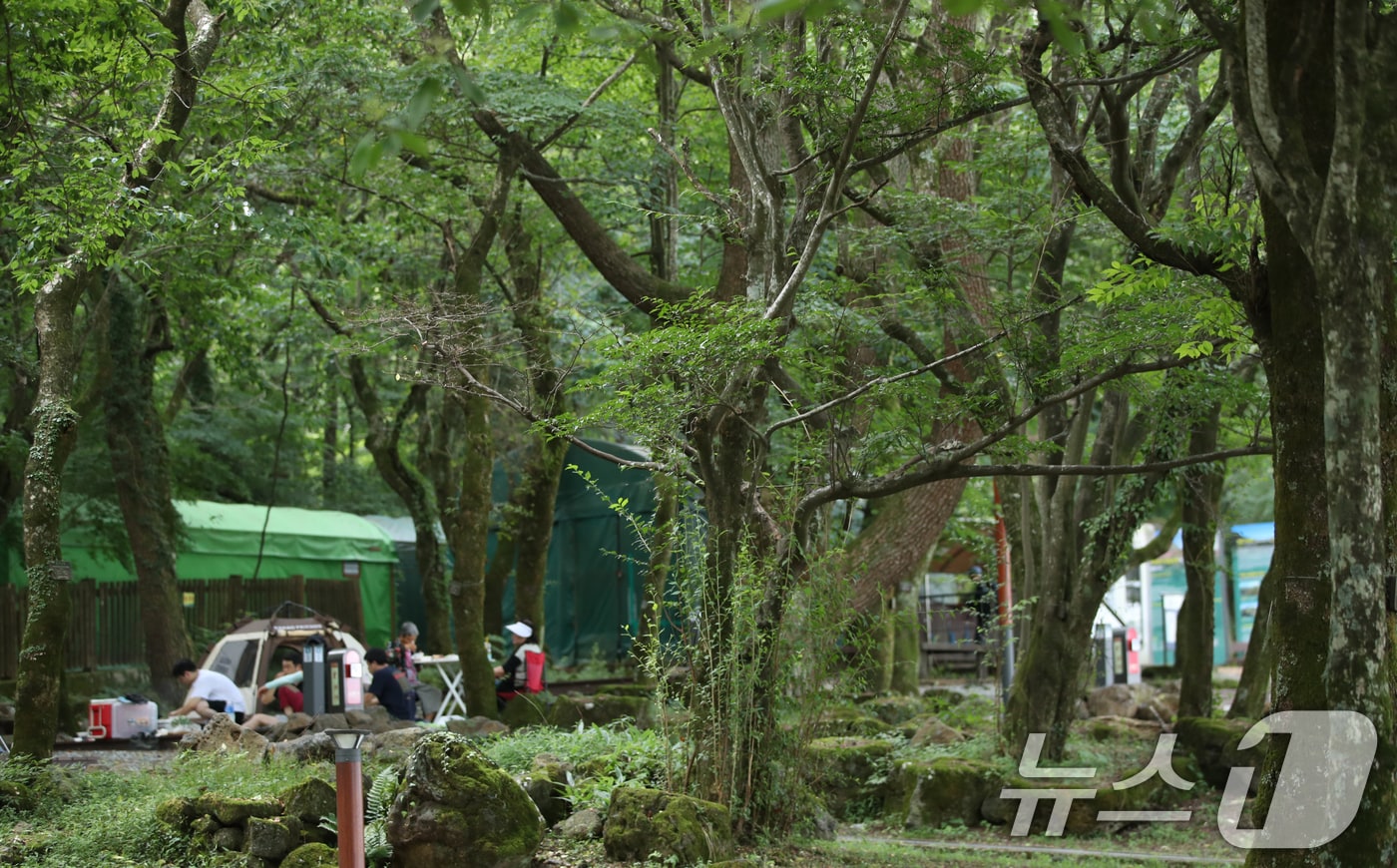 제주 한라산국립공원 관음사 야영장에서 도민과 관광객들이 여유를 즐기고 있다. 2025.8.24/뉴스1 ⓒ News1 오현지 기자