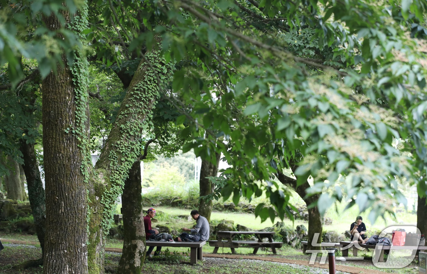 제주 한라산국립공원 관음사 야영장에서 도민과 관광객들이 여유를 즐기고 있다. 2025.8.24/뉴스1 ⓒ News1 오현지 기자