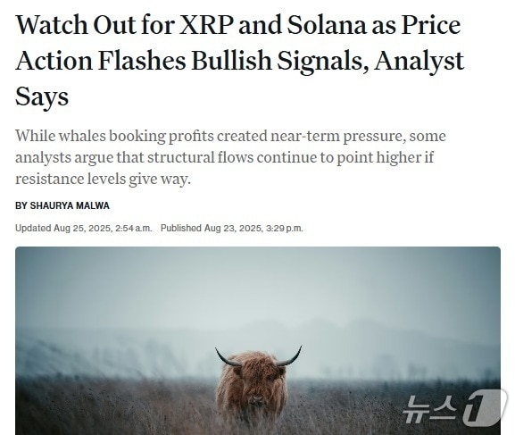 해당 기사 - 코인데스크 갈무리