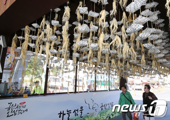 금산 세계인삼엑스포 광장 일원에서 열린 제41회 금산세계인삼축제 모습. (금산=뉴스1) 김기태 기자