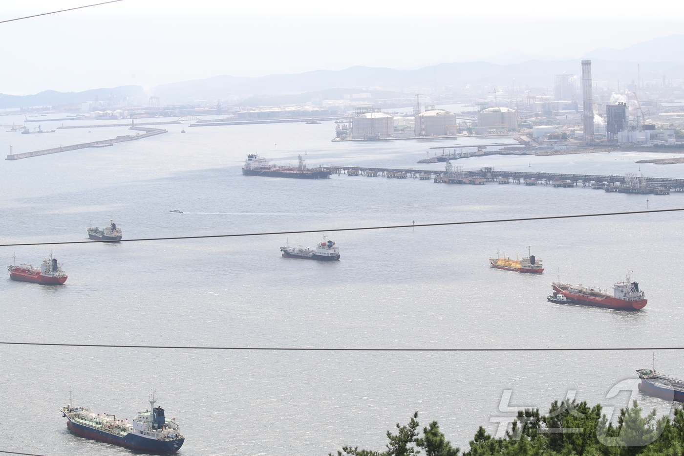 25일 울산 동구 울산항 부근 해상에 수출 선박이 오가고 있다.2025.8.25/뉴스1 ⓒ News1 DB
