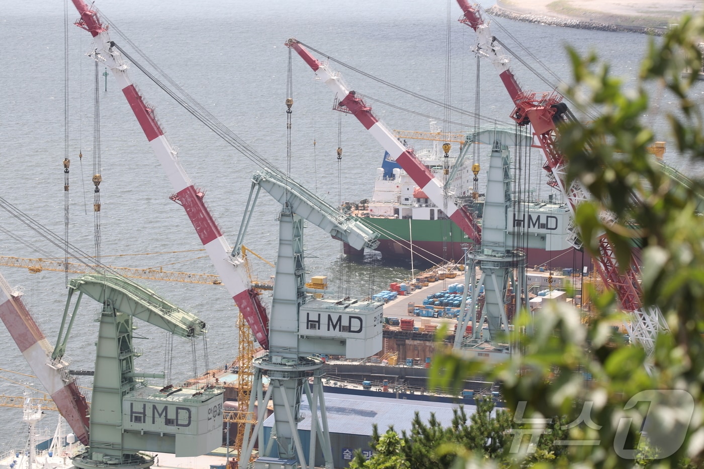 HD현대미포 수출 도크 /뉴스1 ⓒ News1 DB