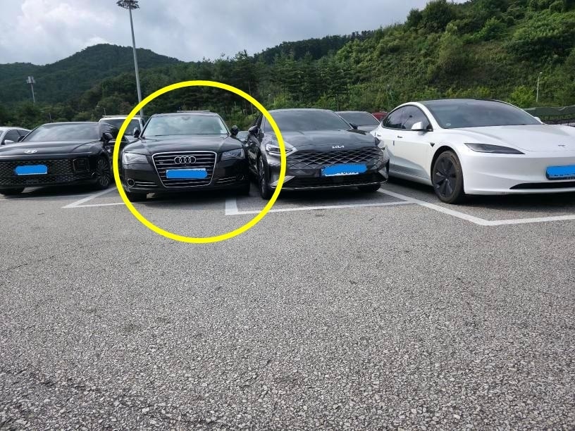 (보배드림 갈무리)