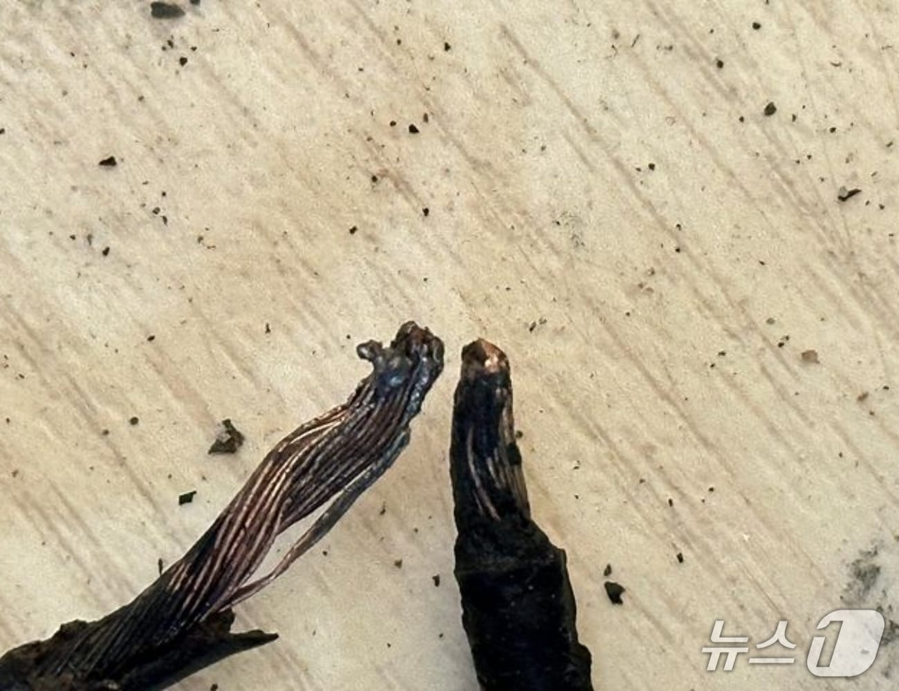 화재 현장. (경기도소방재난본부 제공. 재판매 및 DB 금지) 2025.8.25/뉴스1