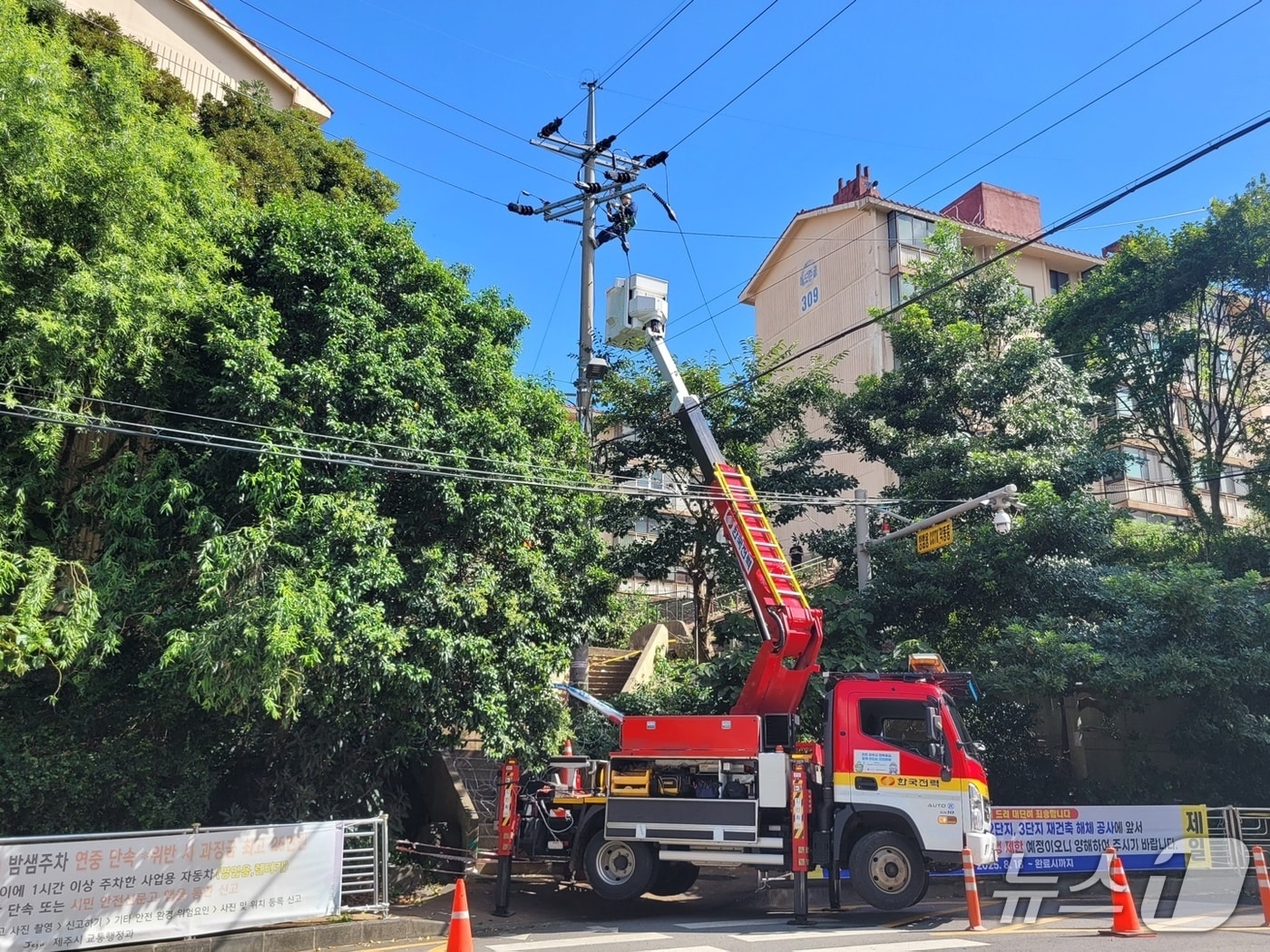 25일 오후 제주시 도남동에서 수목 제거 공사 중 사고로 1300여 세대에 정전이 발생했다.(제주도소방안전본부 제공. 재판매 및 DB 금지)