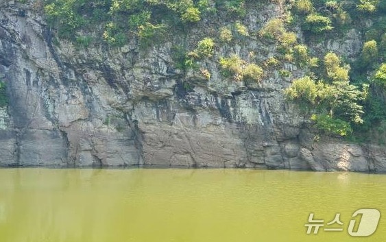 지난달 19일 침수된 대곡천 반구대 암각화 모습. (울산환경운동연합 제공. 재판매 및 DB 금지) /뉴스1