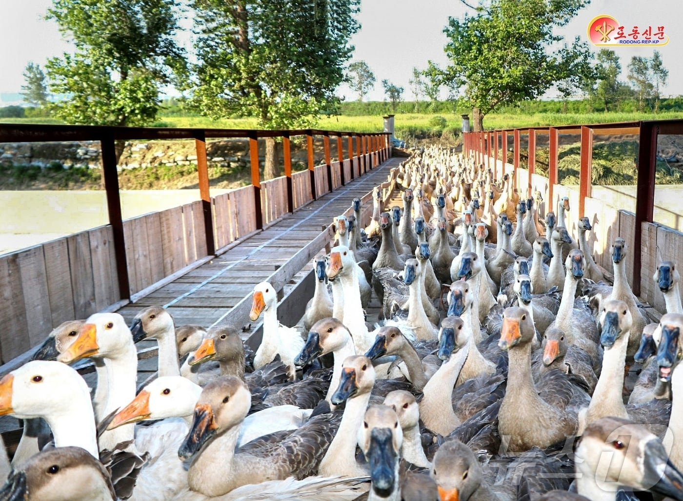 (평양 노동신문=뉴스1) = 북한 노동당 기관지 노동신문은 26일 평안북도송배전부가 건설한 자연에너지발전소와 전주생산기지를 조명하며 "행복은 누가 거저 가져다주는 것이 아니라 오직 당 정책을 생명선으로 틀어쥐고 제 손으로 마련해가는 것＂이라고 강조했다. [국내에서만 사용가능. 재배포 금지. DB 금지. For Use Only in the Republic of Korea. Redistribution Prohibited] rodongphoto@news1.kr