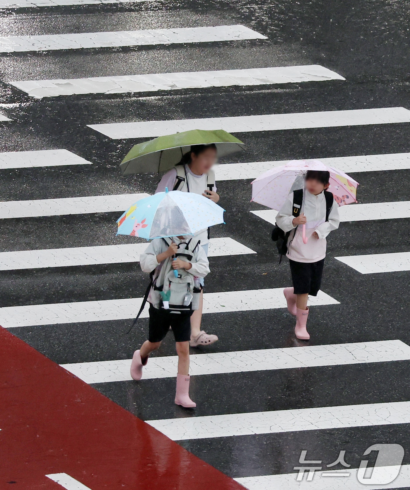 전북 대부분 지역에 호우특보가 발효된 26일 전북 완주군 삼봉로 한 횡단보도에서 우산을 쓴 학생들이 등굣길 발걸음을 재촉하고 있다. 2025.8.26/뉴스1 ⓒ News1 유경석 기자