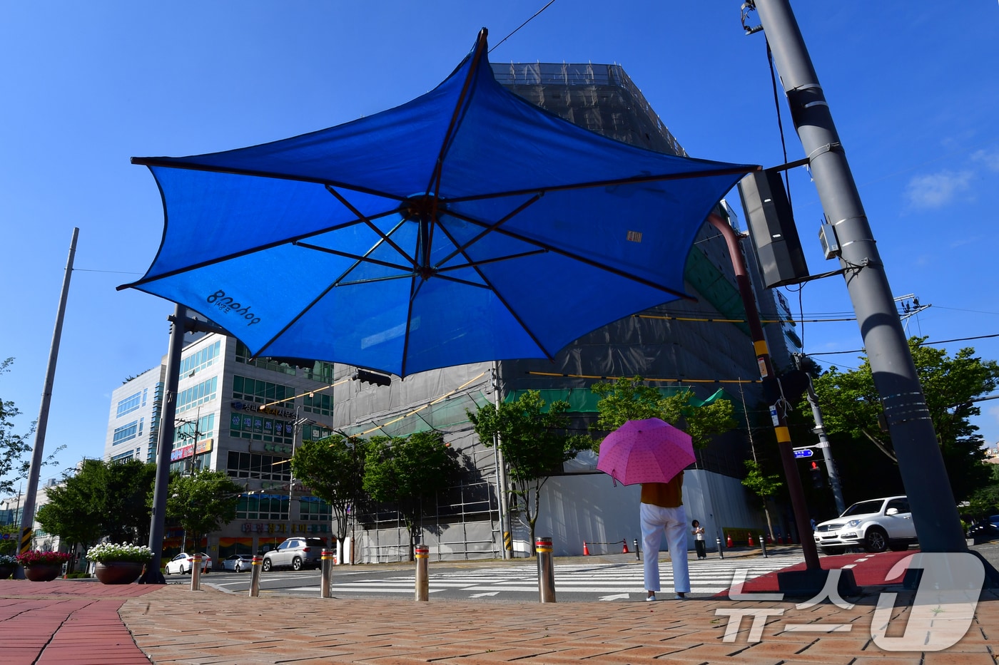 지난 26일 경북 포항시 전역에 폭염특보가 발효 중인 가운데 출근길에 나선 시민이 포항시청 앞 횡단보도에 설치된 대형 우산 그늘막 밑에서 신호를 기다리고 있다. 2025.8.26/뉴스1 ⓒ News1 최창호 기자