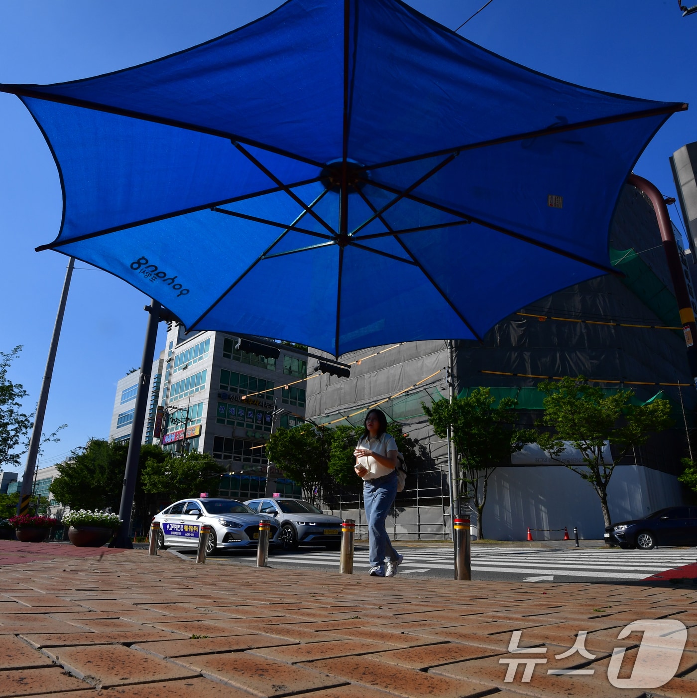 경북 포항시 전역에 폭염특보가 발효 중인 가운데 출근길에 나선 시민이 포항시청 앞 횡단보도에 설치된 대형 우산 그늘막 아래로 걸어가고 있다. 2025.8.26 ⓒ 뉴스1 최창호 기자