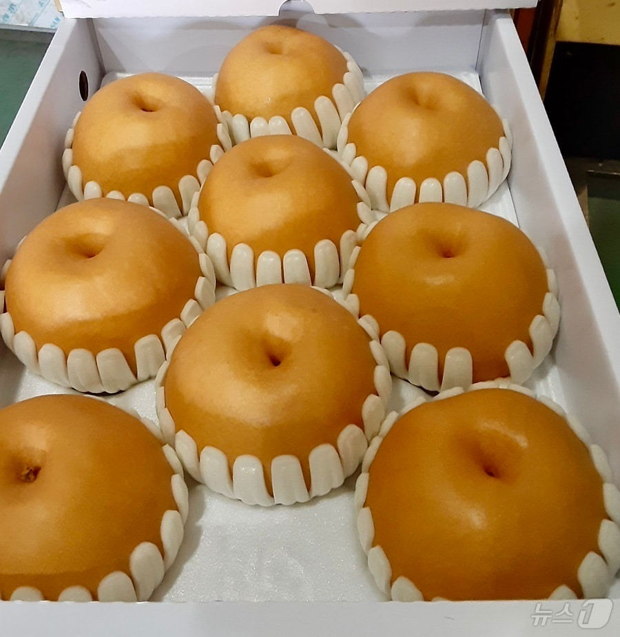 순천 낙안배.(순천시 제공. 재판매 및 DB 금지)