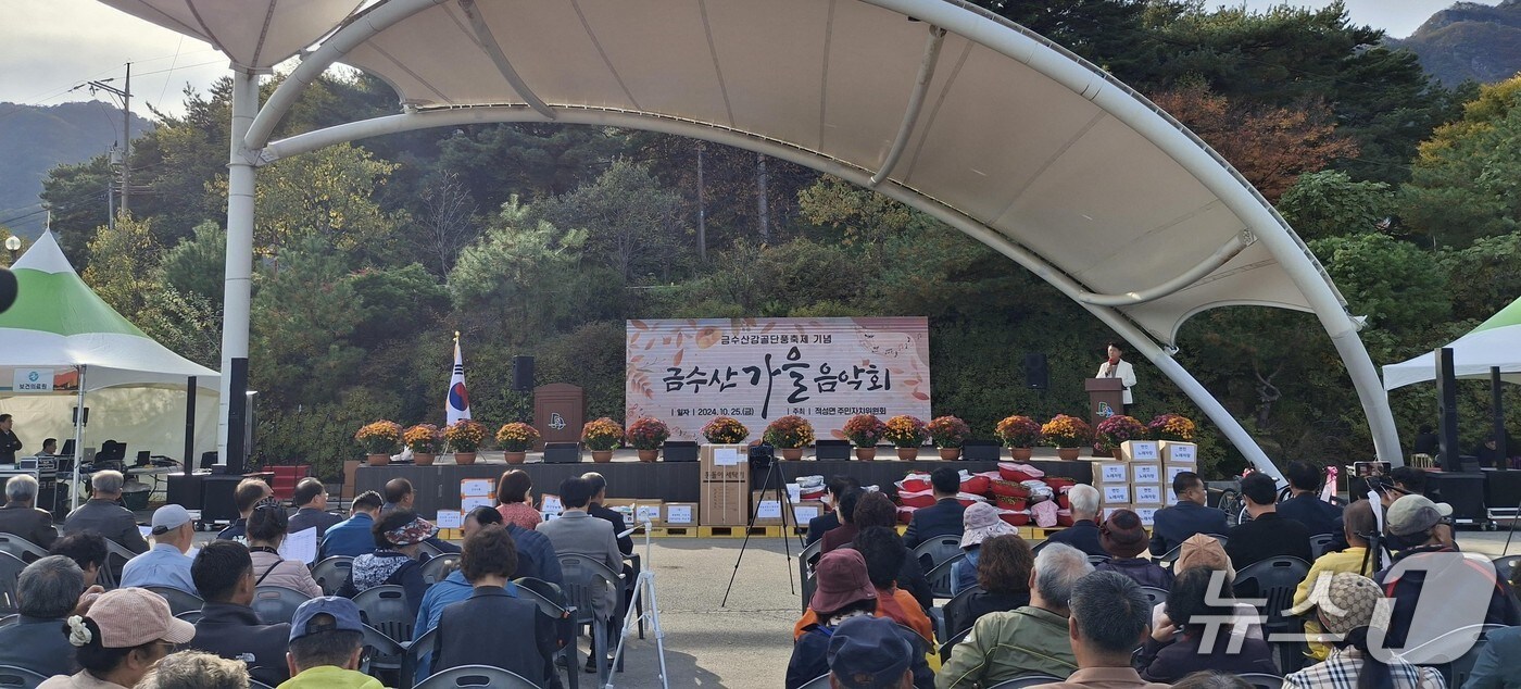 지난해 단양군 적성면 '금수산 한여름밤의 음악회'.(단양군 제공. 재판매 및 DB금지) /뉴스1       