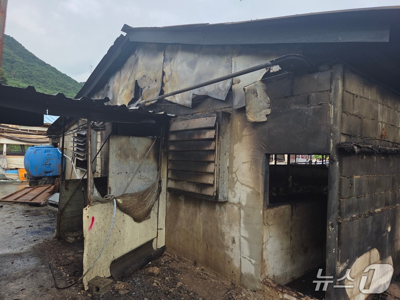 임실 돈사 화재 현장.(전북소방본부 제공. 재판매 및 DB금지)