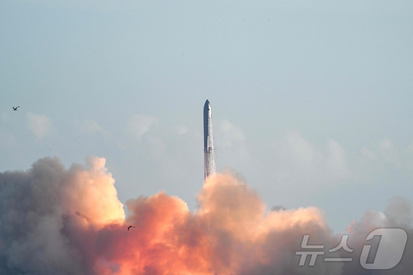 스페이스X의 대형 우주선 '스타십'의 10번째 지구궤도 시험 비행 모습. ⓒ AFP=뉴스1