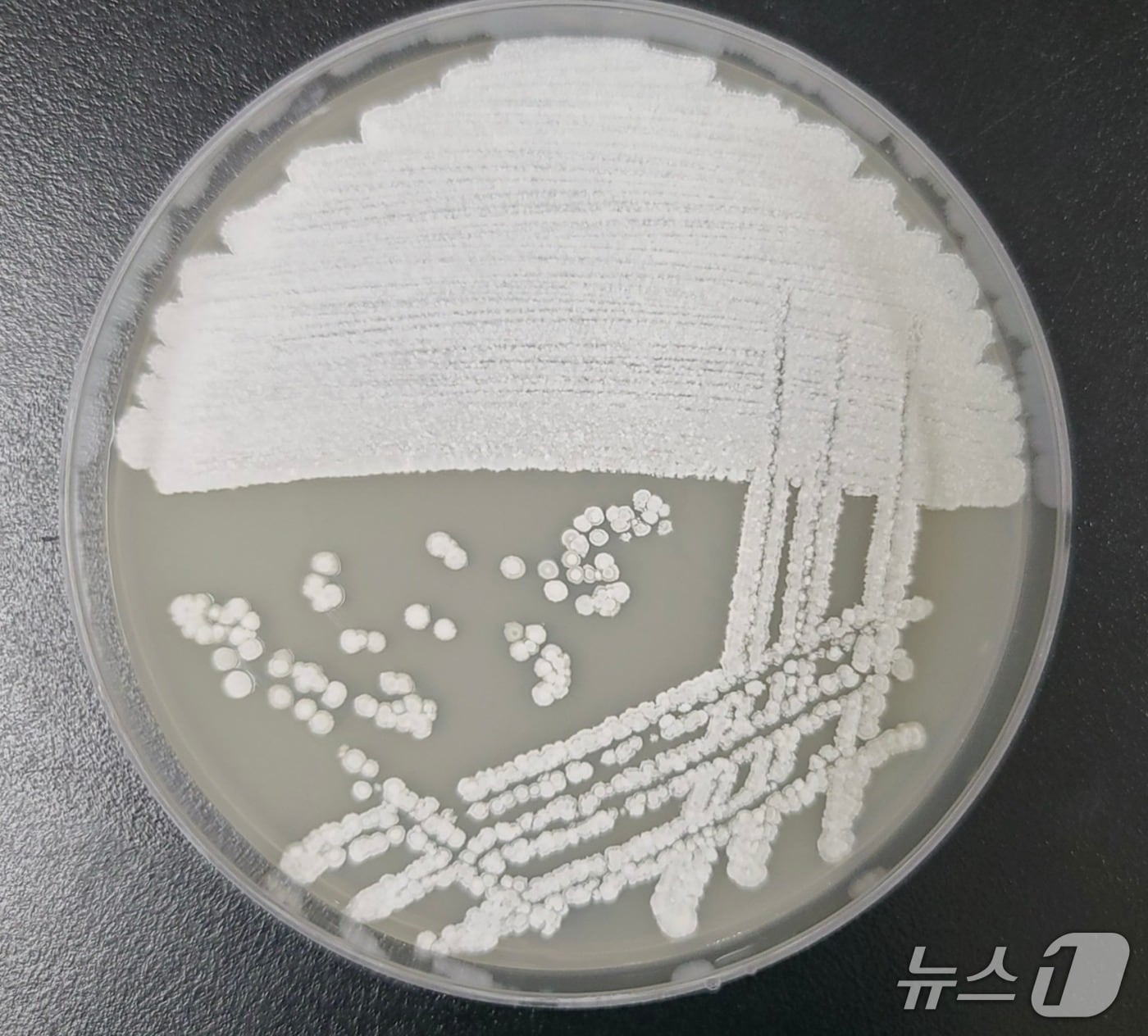 (환경부 제공) ⓒ 뉴스1
