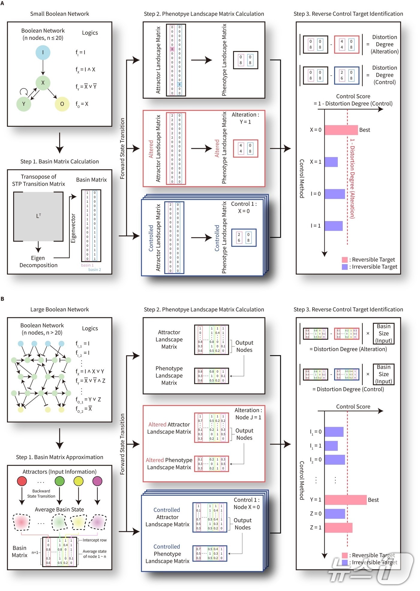 정상 자극-반응 양상 회복 위한 제어타켓 발굴 모식도(KAIST 제공) /뉴스1