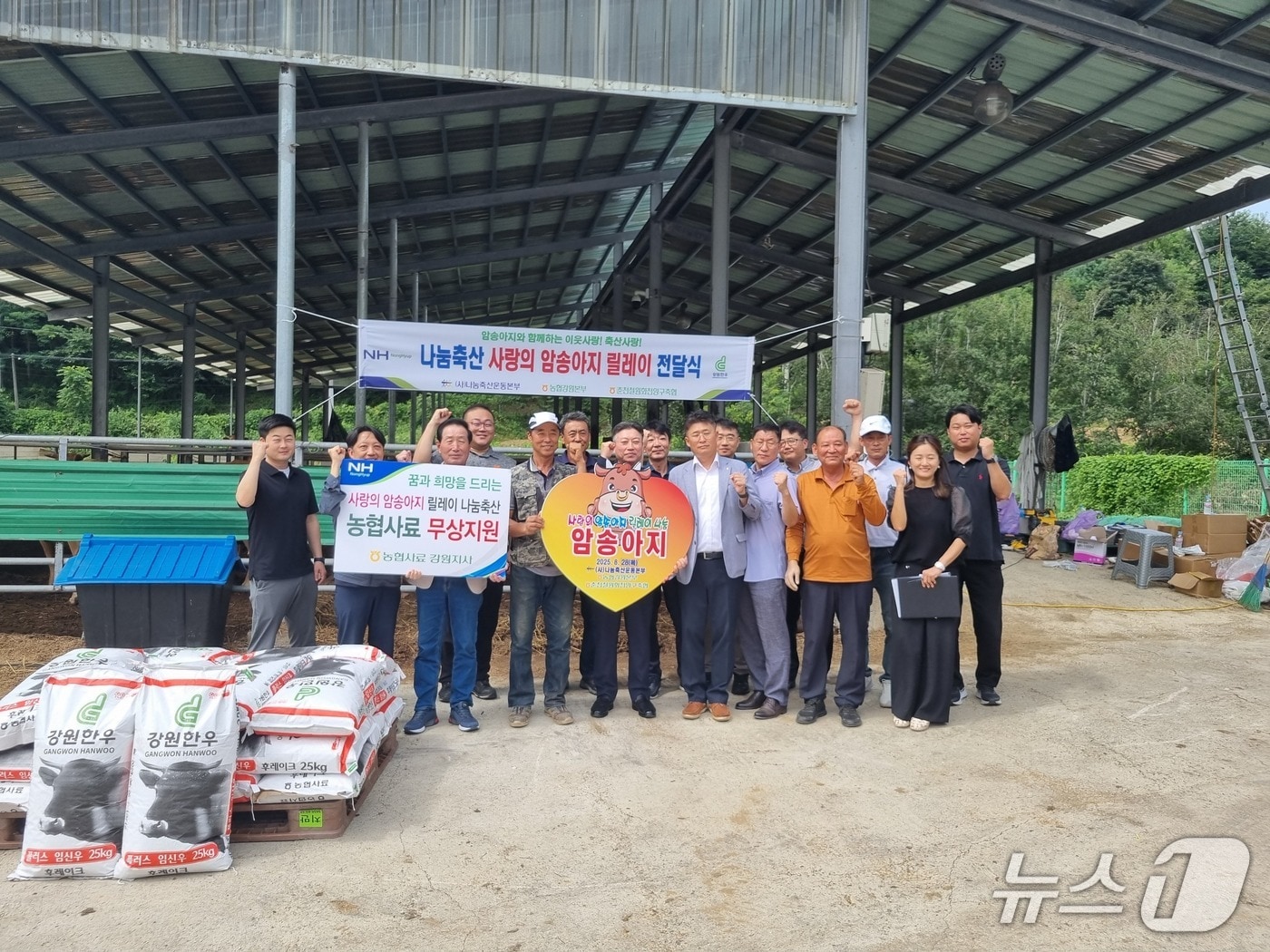 사랑의 암송아지 릴레이 전달.(강원농협 제공. 재판매 및 DB금지)/뉴스1