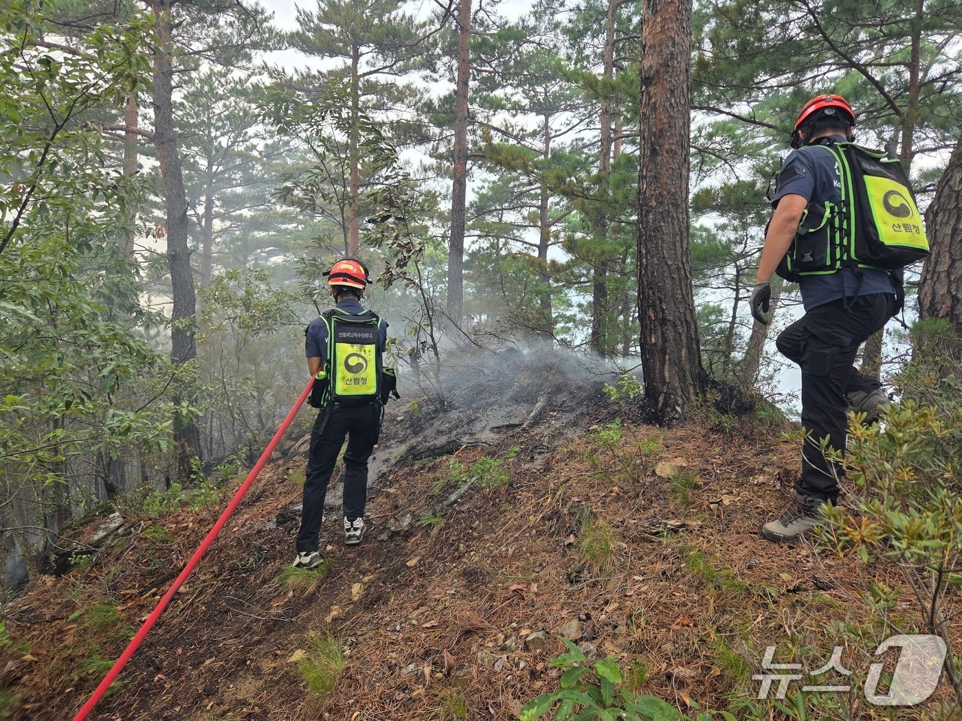 동부산림청 산불특수진화대 삼척 가곡 오목리 산불 진화 현장.(동부지방산림청 제공, 재판매 및 DB 금지) 2025.8.28/뉴스1