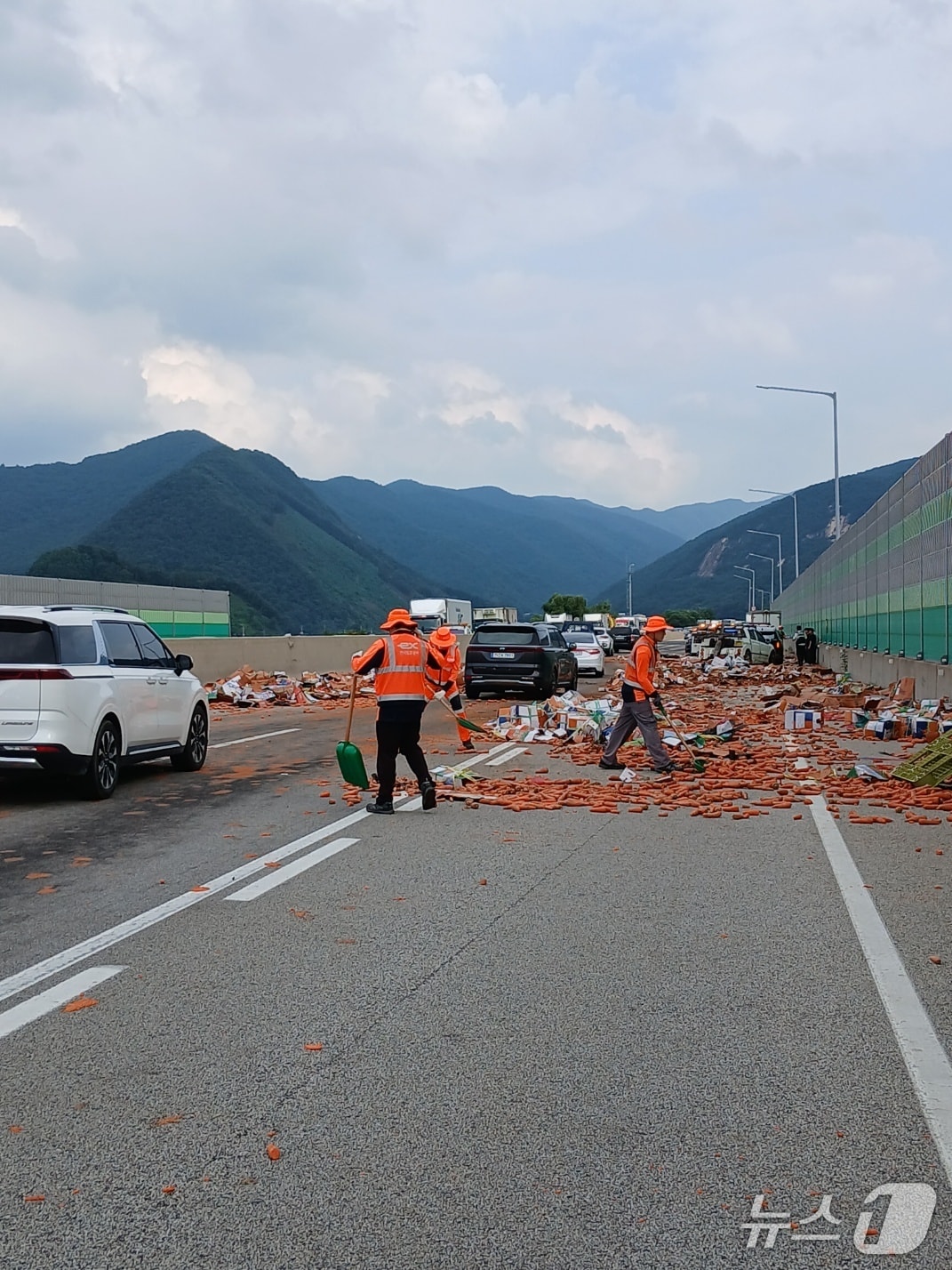 28일 오후 3시 40분쯤 충북 괴산군 연풍면 중부내륙고속도로 양평방향 연풍IC 인근에서 A 씨(40)가 몰던 12톤 화물차가 중앙분리대를 들이받아 화물칸에 실려있던 당근이 도로에 쏟아져있다.(괴산소방서 제공. 재판매 및 DB금지)./뉴스1