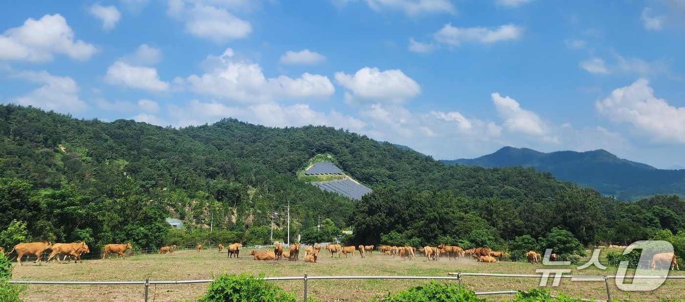 저탄소 축산물 인증 농가.(전남도 제공. 재판매 및 DB금지) 2025.8.29/뉴스1