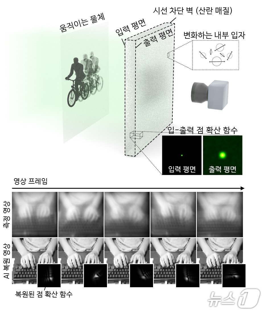 광학 측정 구성도 및 손상 영상 복원 결과(KAIST 제공) /뉴스1
