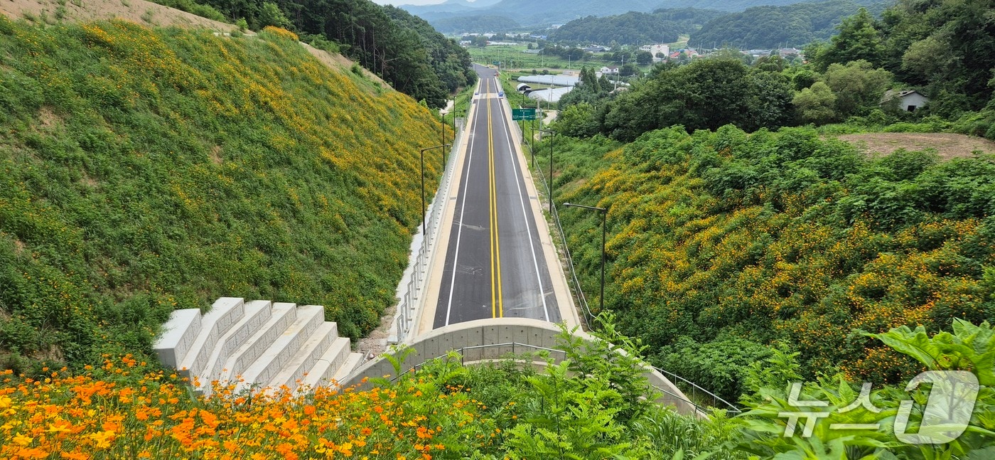 국도3호선 연천군 신서면 도신리~대광리 구간 도로 개통. (연천군 제공, 재판매 및 DB금지)