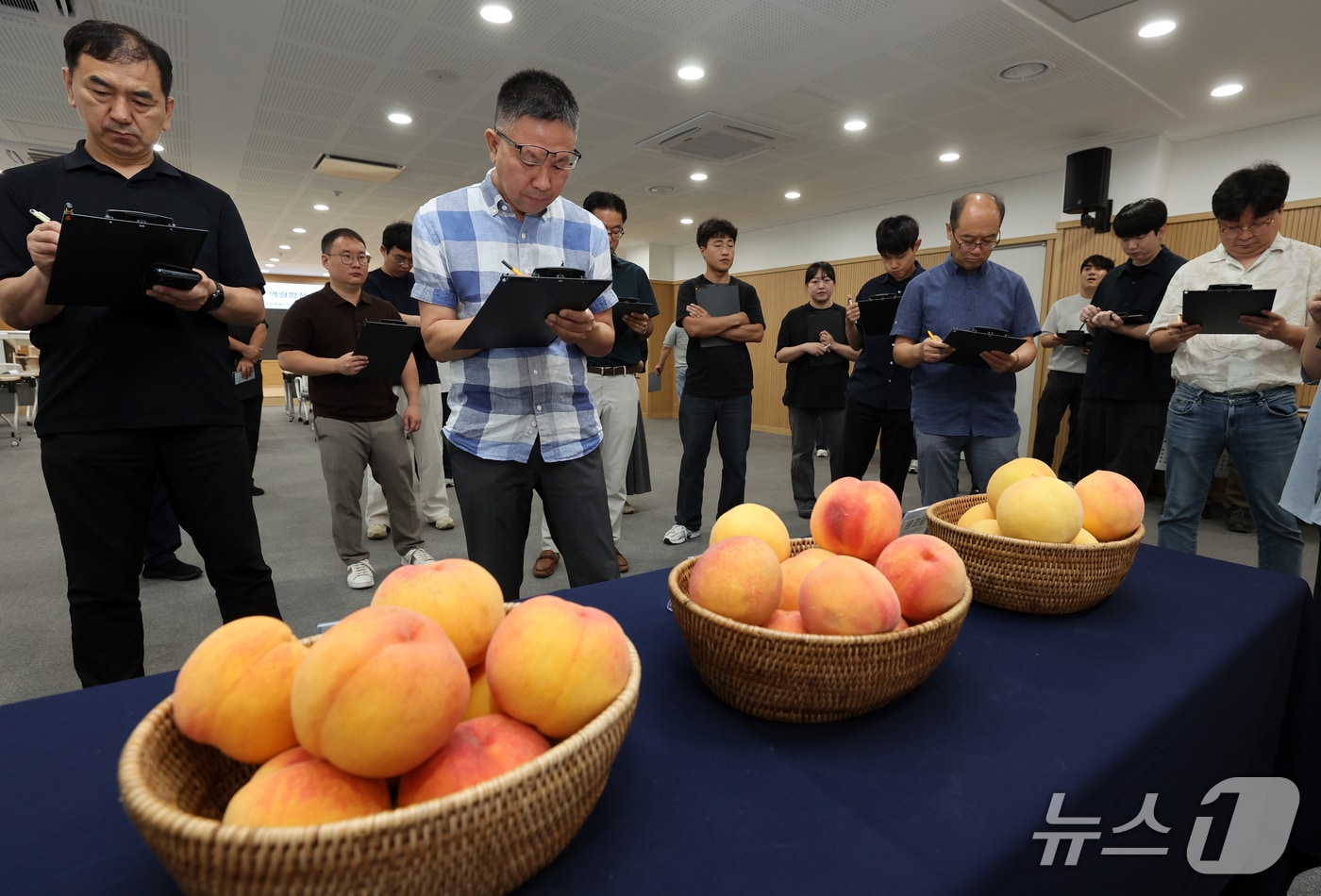골드원 신품종 품평회.(강원도농업기술원 제공. 재판매 및 DB금지)/뉴스1