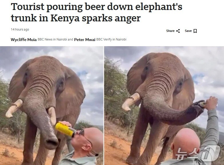 해당 기사 - BBC 갈무리