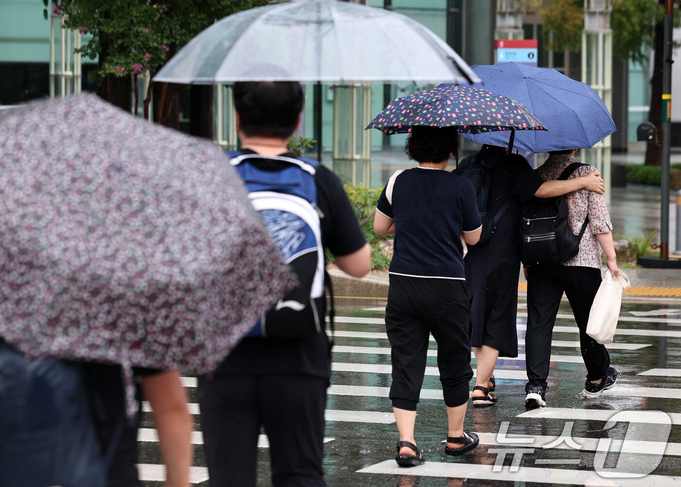 자료사진. 2025.8.29/뉴스1 ⓒ News1 구윤성 기자