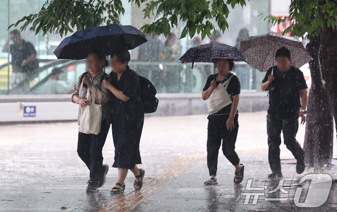 우산을 쓰고 걷고 있는 시민들.(사진은 기사 내용과 무관함) / 뉴스1 ⓒ News1