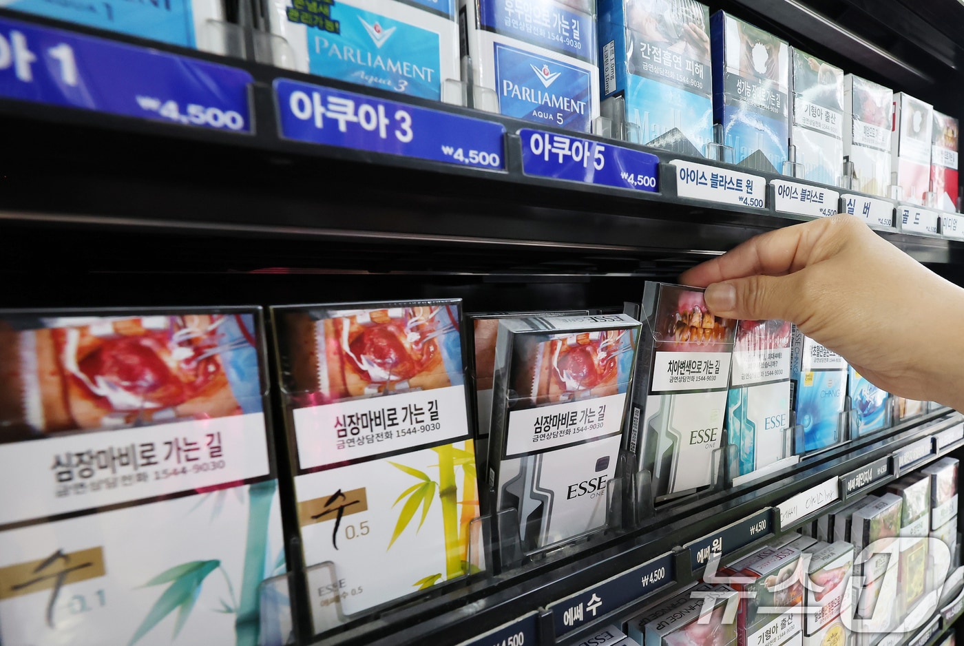 국민 건강 지키는 '담배소송', 10년 숙원 승리 가능성? 3조 8천억 원 막을 길