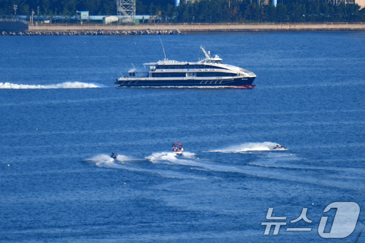 30일 오후 경북 포항~울릉간 정기여객선사인 대저페리의 썬라이즈호가 포항여객선미널로 들어오고 있다. 대처페리측은 지난 29일부터 엘도라도 익스프레스호 대체 선박으로 썬라이즈호를 투입해 운항하고 있다. 2025.8.30/뉴스1 ⓒ News1 최창호 기자