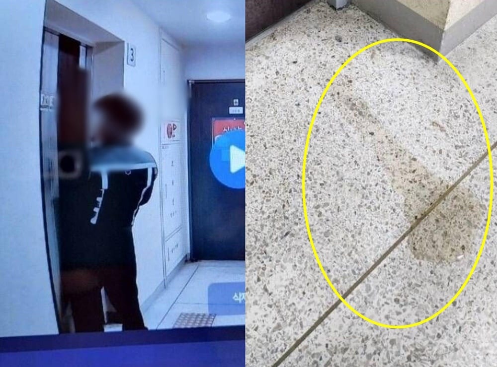 (보배드림 갈무리)