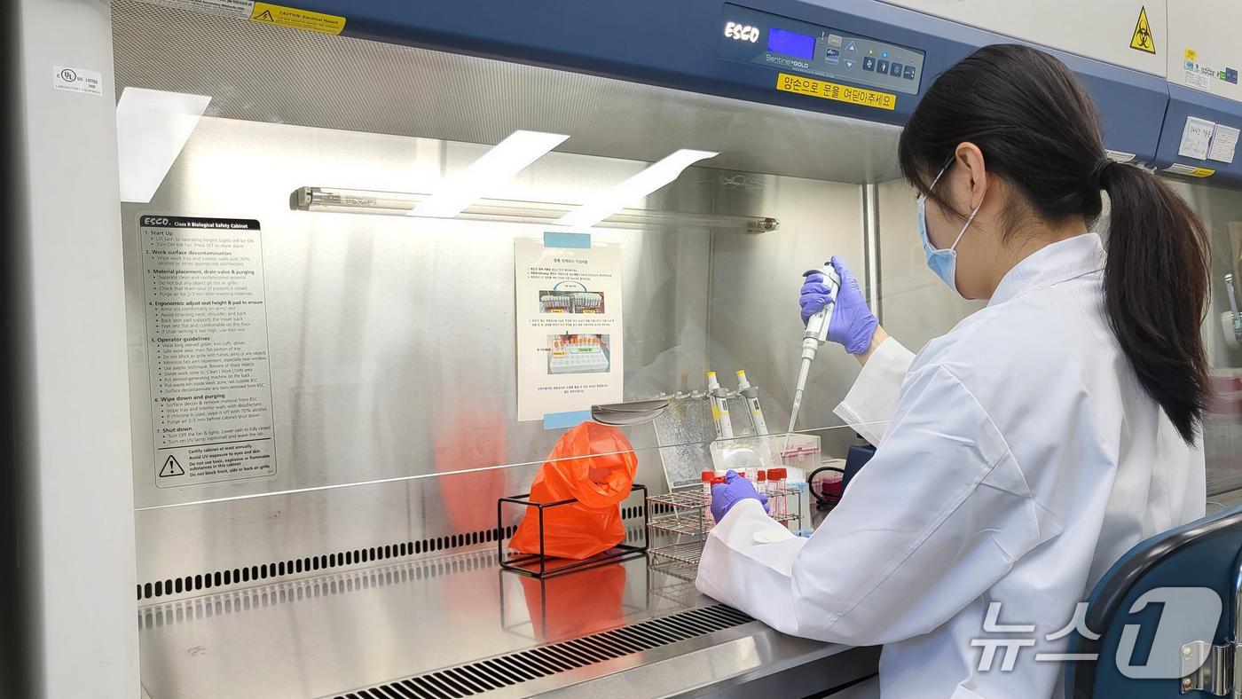 대구시 보건환경연구원은 이달부터 인플루엔자와 호흡기바이러스 유행 양상 분석과 신·변종 바이러스 출현을 감시하기 위한 병원체 감시에 나선다. 사진은 병원체 분석 모습. (대구시 제공. 재판매 및 DB 금지)/뉴스1