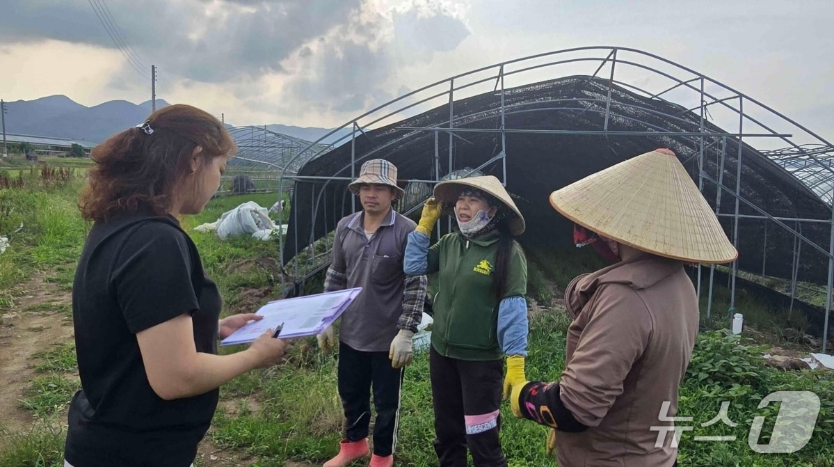 포항시 공무원이 외국인 계절근로자들의폭염 피해를 막기 위해 안전 점검을 벌이고 있다.(포항시 제공, 재판매 및 DB금지) 2025.8.4/뉴스1