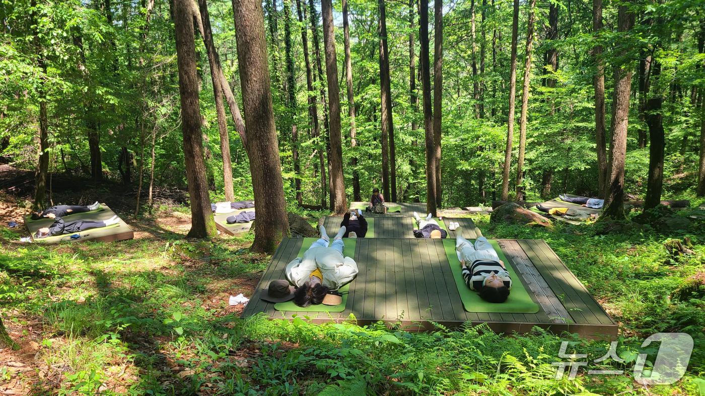 대구 달성군은 비슬산 치유의 숲에서 야간 프로그램을 운영한다. 사진은 숲에서 명상하고 있는 시민.&#40;대구 달성군 제공.재판매 및 DB금지&#41;