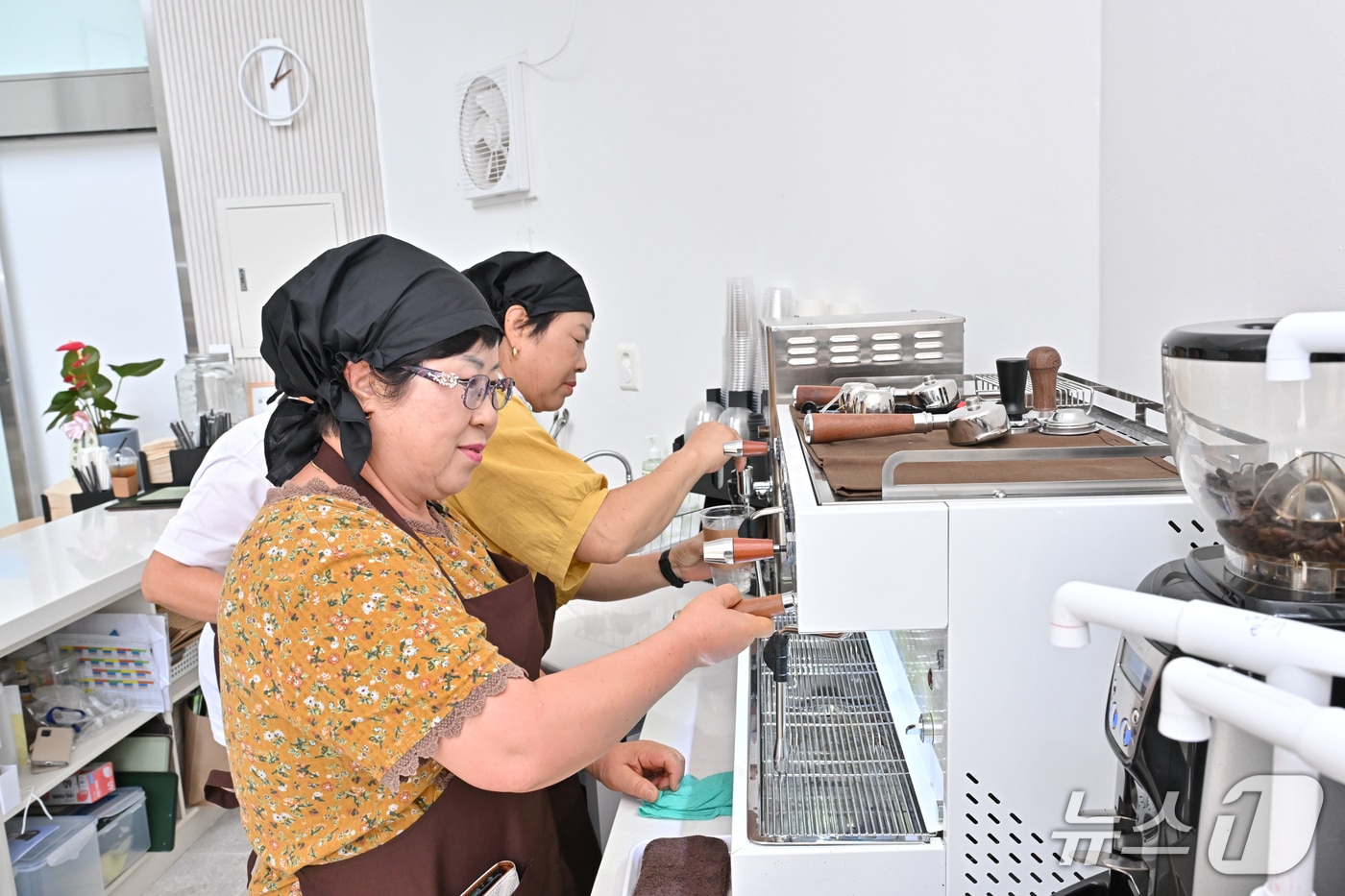 이달 강원 정선군 여량면 아우라지 복합센터에 문을 연 '돌과 이야기 카페' 자료 사진. (정선군 제공. 재판매 및 DB금지) 2025.8.4/뉴스1