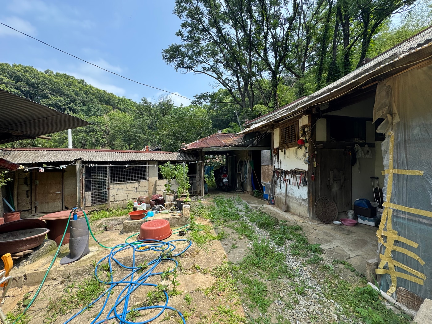 치매를 앓는 70대 어르신이 살던 주택 모습.(충남도 제공. 재판매 및 DB금지)/뉴스1 