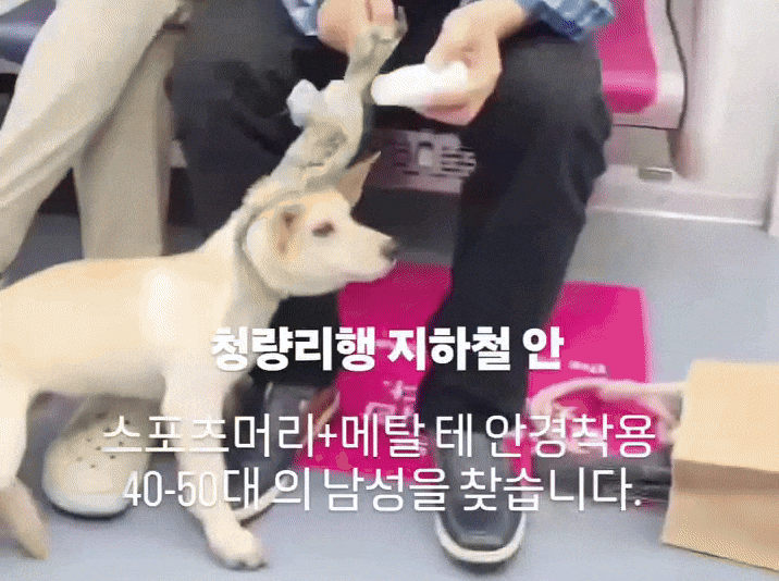 많이 본 뉴스