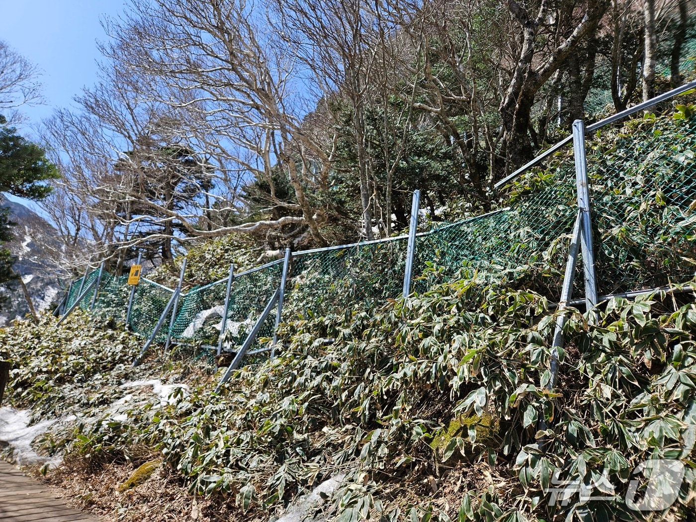  낙석방지시설 보수공사 구간(제주도 제공. 재판매 및 DB금지)/뉴스1