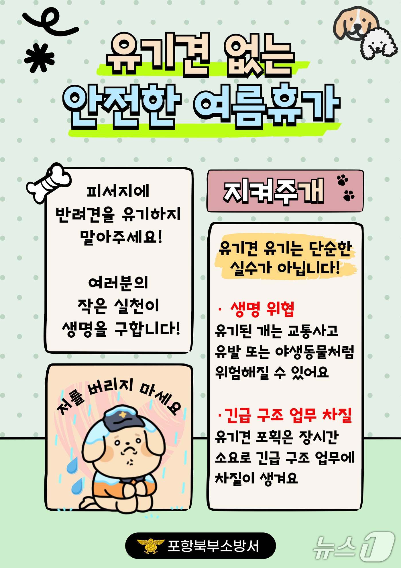 5일 경북 포항북부소방서는 매년 여름 휴가철마다 발생하고 있는 반려견 유기 문제를 해결하기 위해 주요 피서지 등에서 선제적 홍를을 펼치고 있다 . (포항북부소방서제공, 재판매 및 DB금지) 2025.8.5/뉴스1