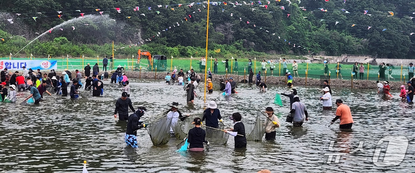 영덕에서 열린 '황금은어축제' 모습.(영덕군 제공, 재판매 및 DB금지) 2025.8.5/뉴스1